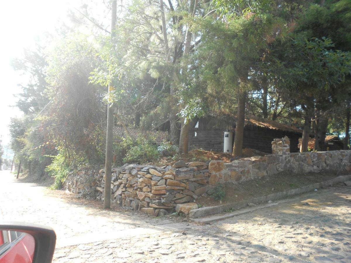 Venados Mazamitla