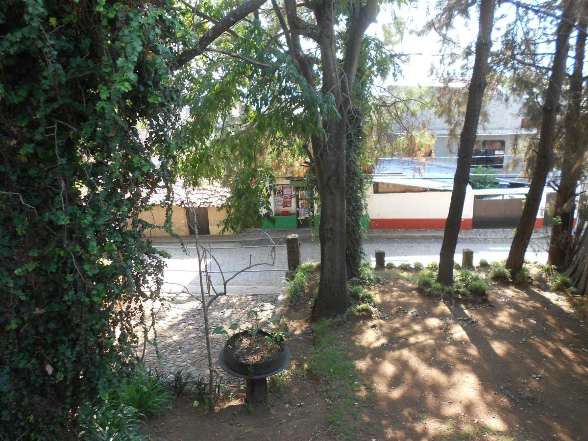 Venados Mazamitla